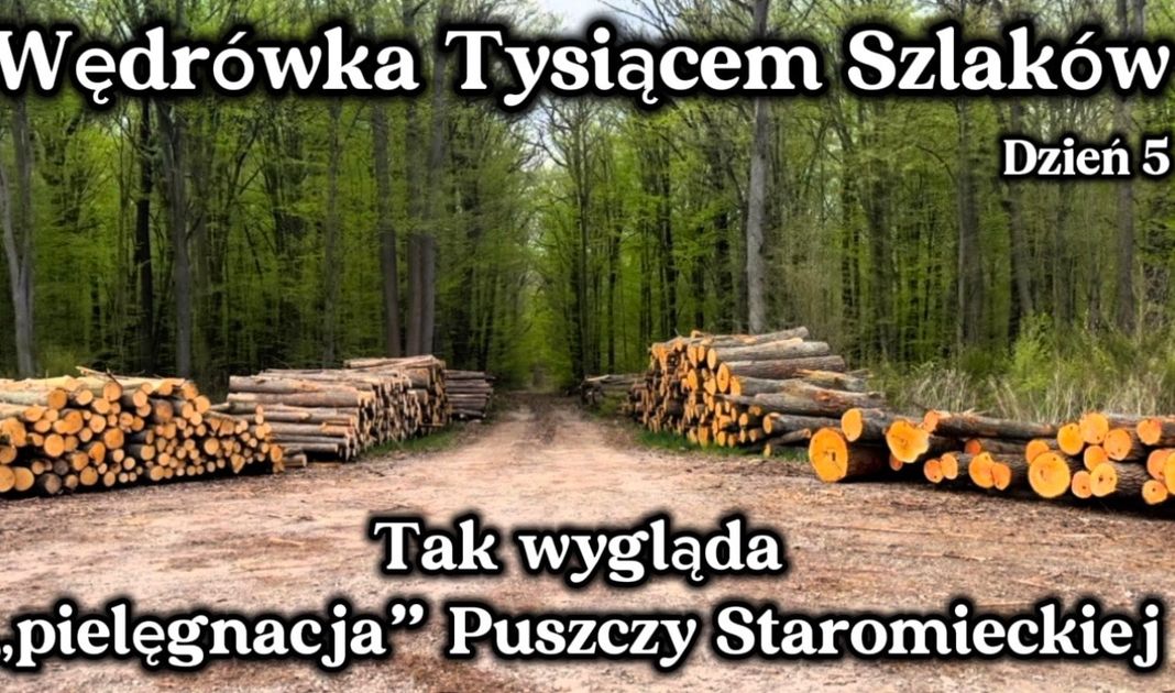 Obrazek posta
