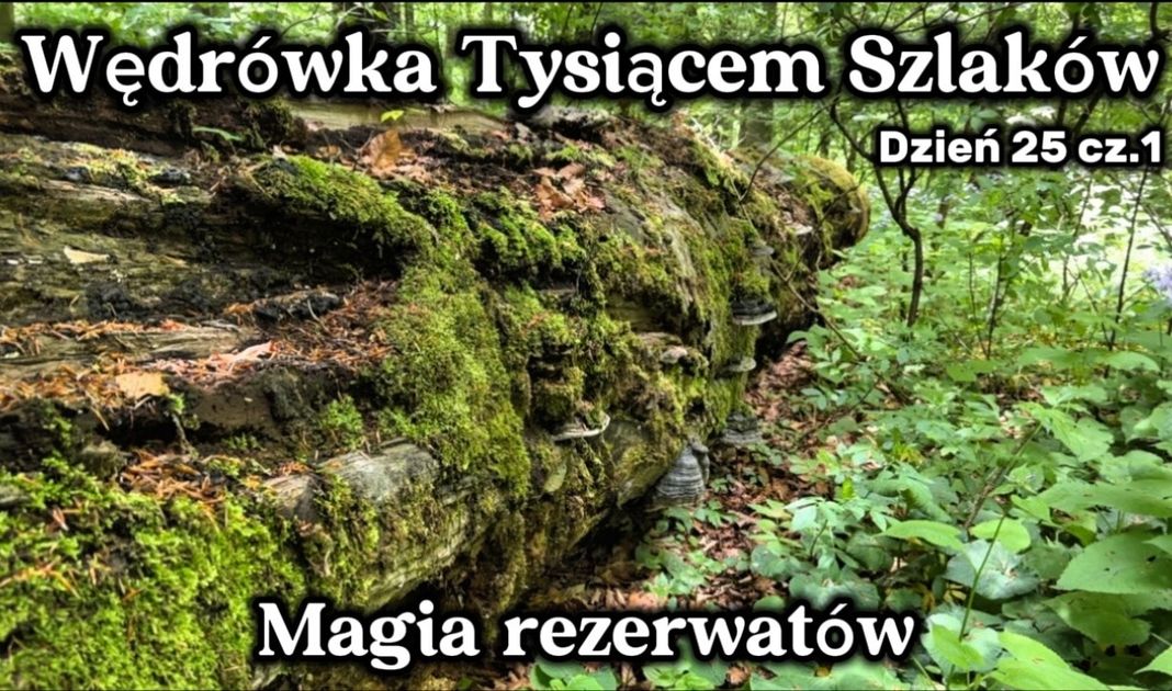 Obrazek posta