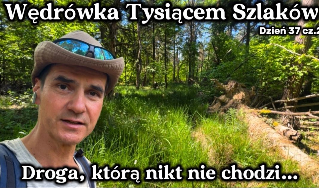 Obrazek posta