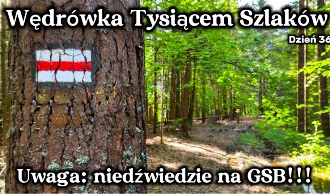 Obrazek posta