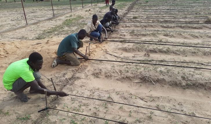 Projekt rolniczy dla Szkoły Zawodowej w Chad