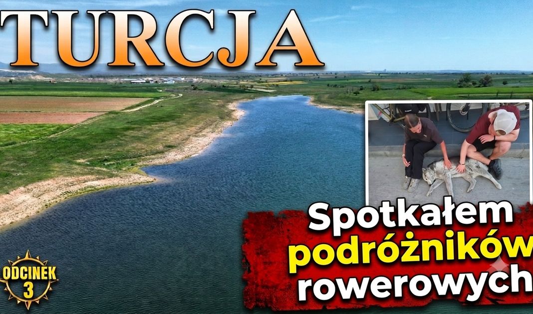 Obrazek posta