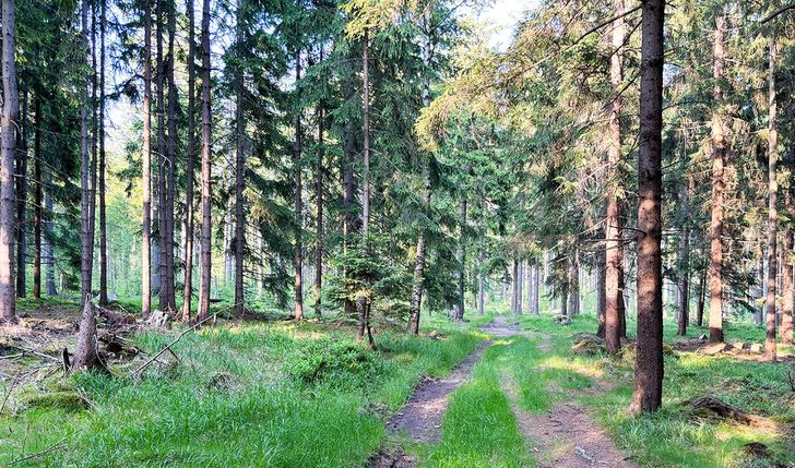 440 km Głównego Szlaku Sudeckiego 2026 – wsparcie wyprawy