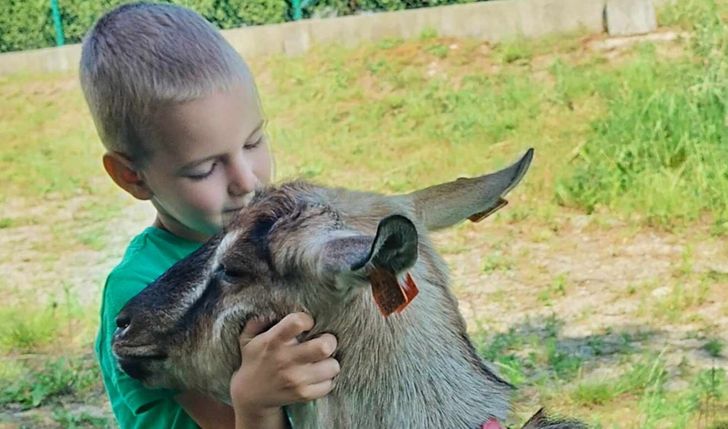 „Budujemy miejsce, gdzie zwierzęta leczą duszę”