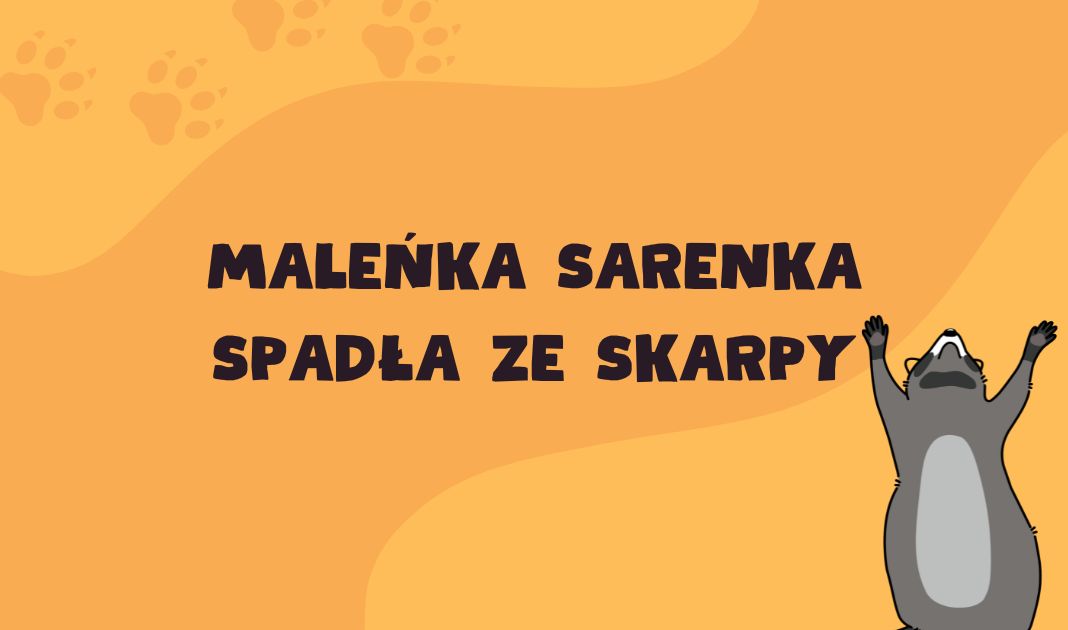 Obrazek posta