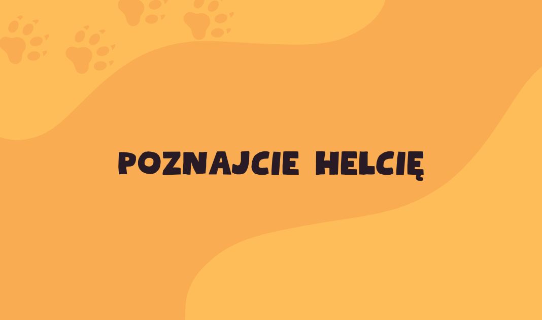Obrazek posta