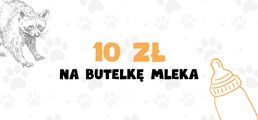 Obrazek progu