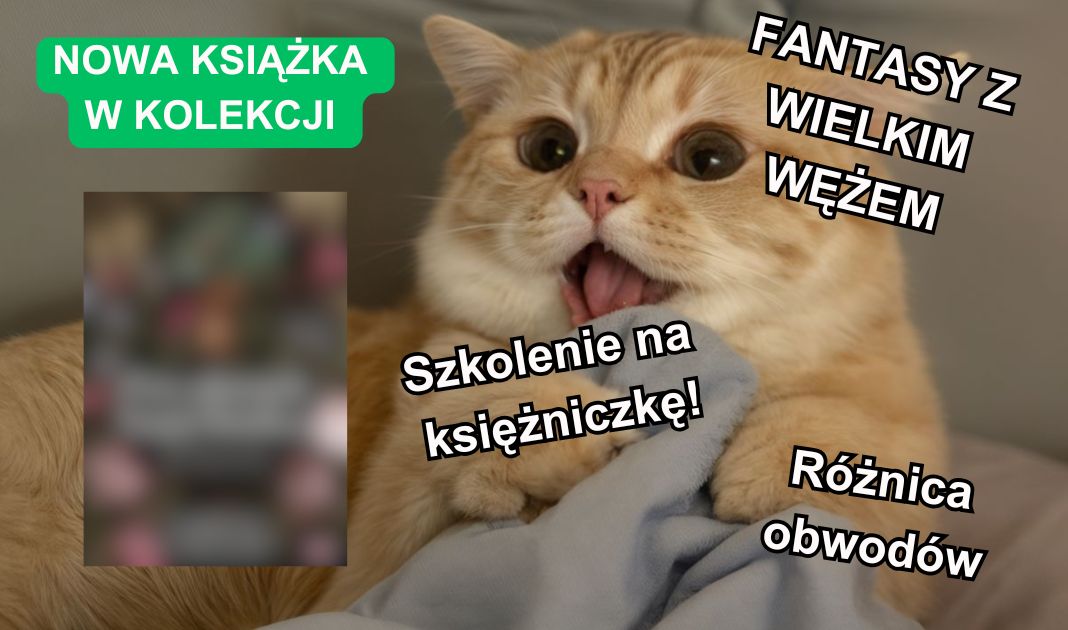 Obrazek posta