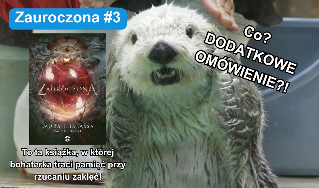 Obrazek posta