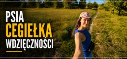 Obrazek progu