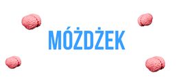 Obrazek progu