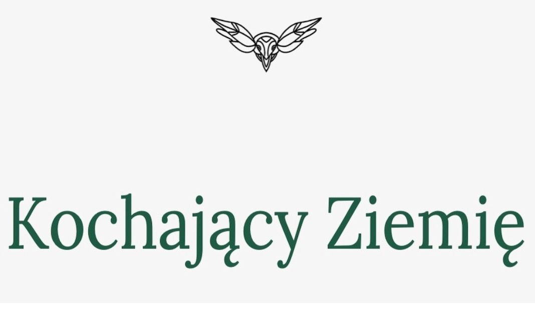 Obrazek posta