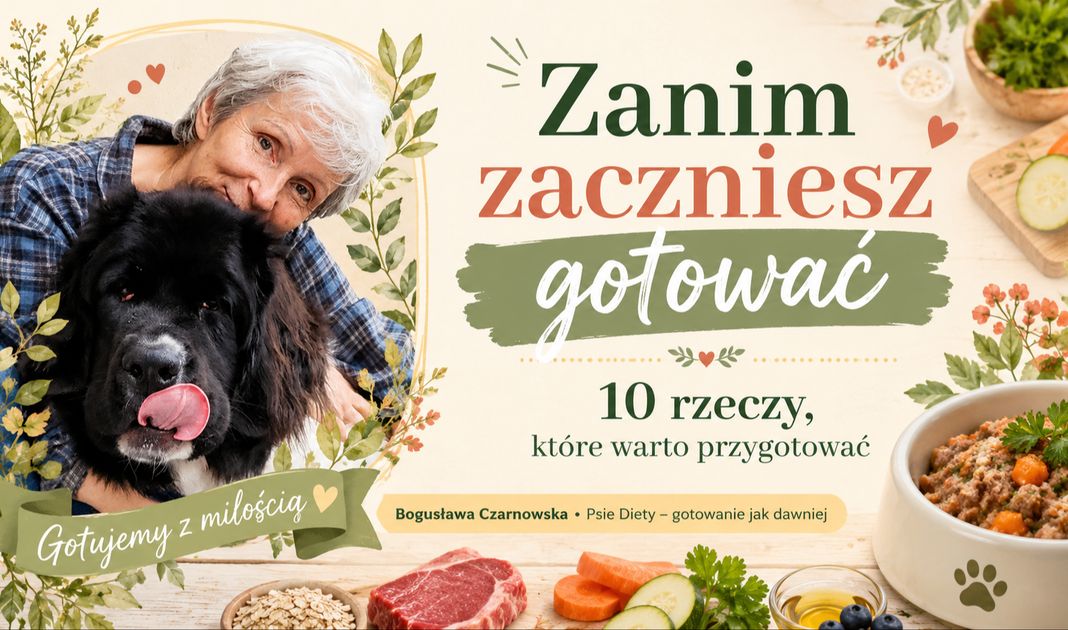 Obrazek posta
