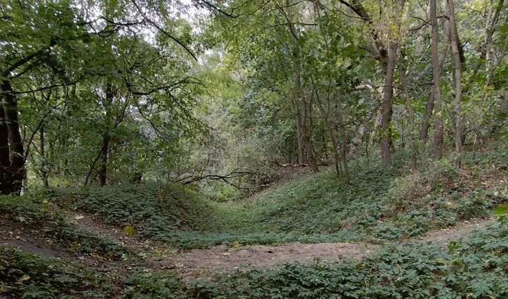 Wydłużenie i rozbudowa Air-Line (V etap)