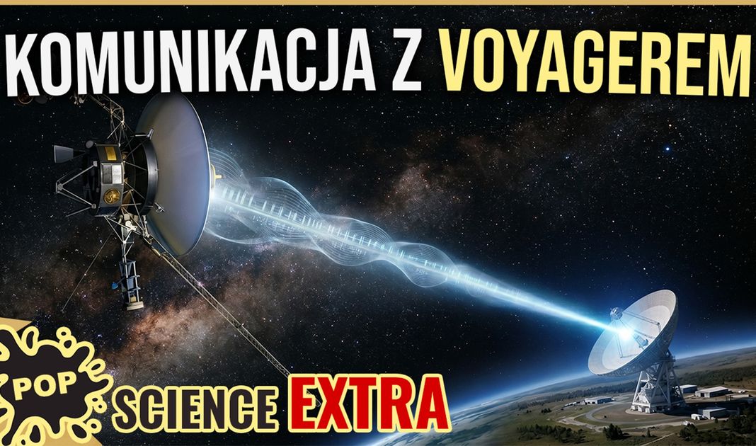 Obrazek posta