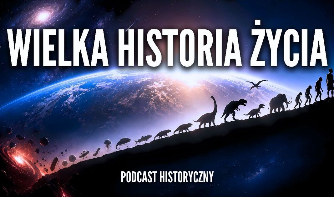 Obrazek posta