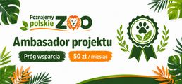 Obrazek progu