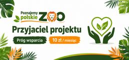 Obrazek progu