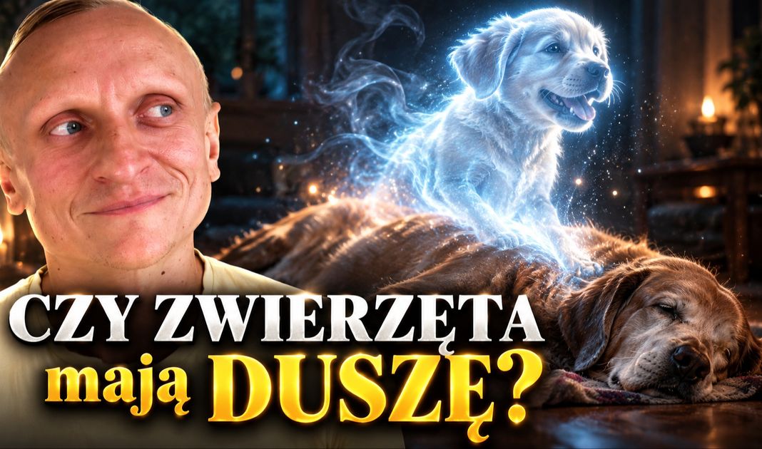 Obrazek posta