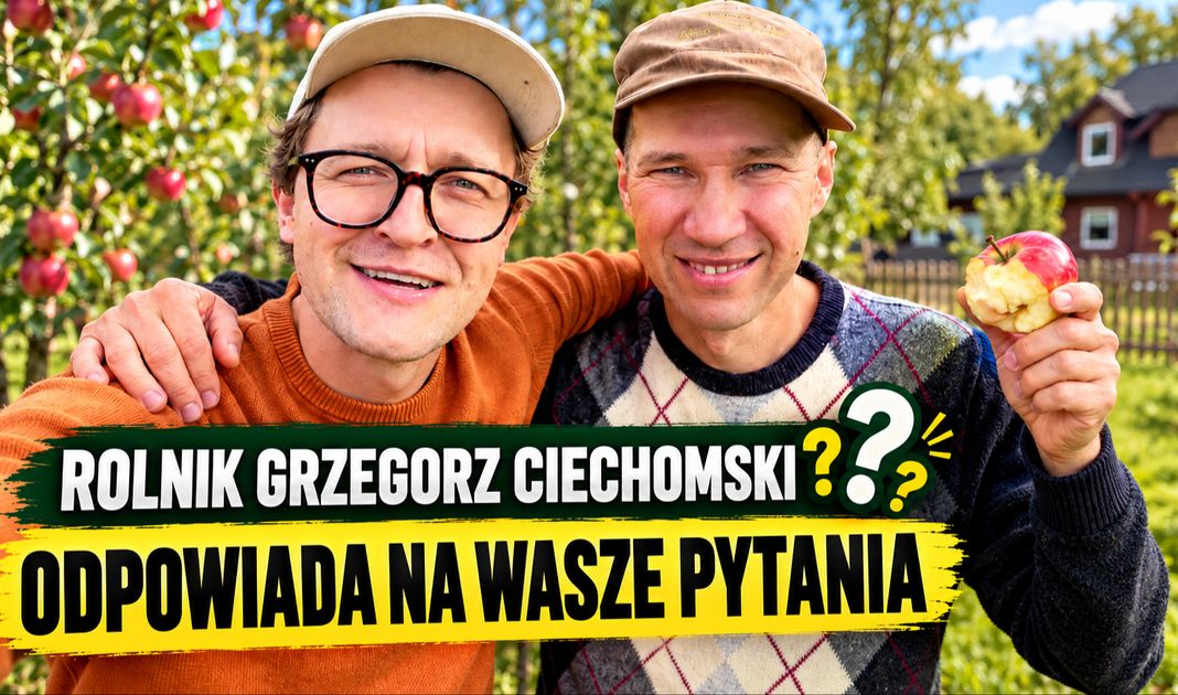 Obrazek posta