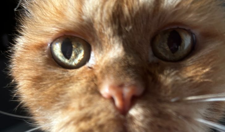 Dla niezdecydowanych