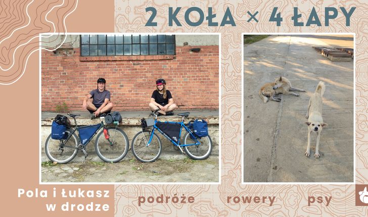 2 KOŁA x 4 ŁAPY - rowerem dla kejtrów.