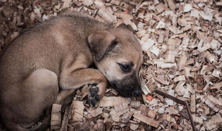 Na prowadzenie fundacji