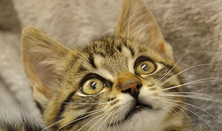 Na start dla fundacji