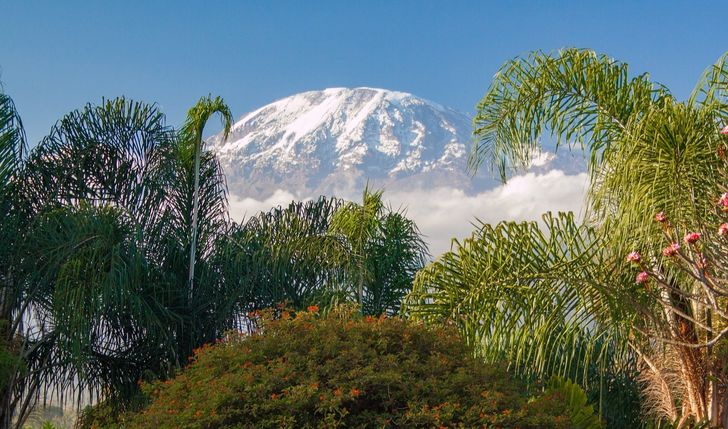 Wejście na Kilimandżaro