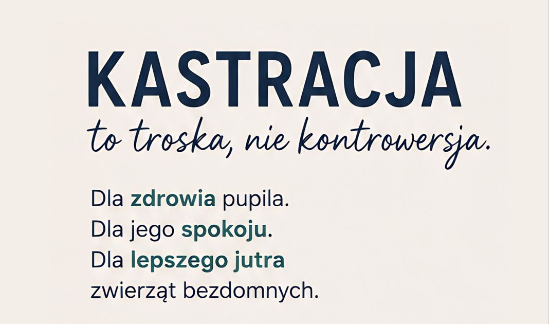 Obrazek posta