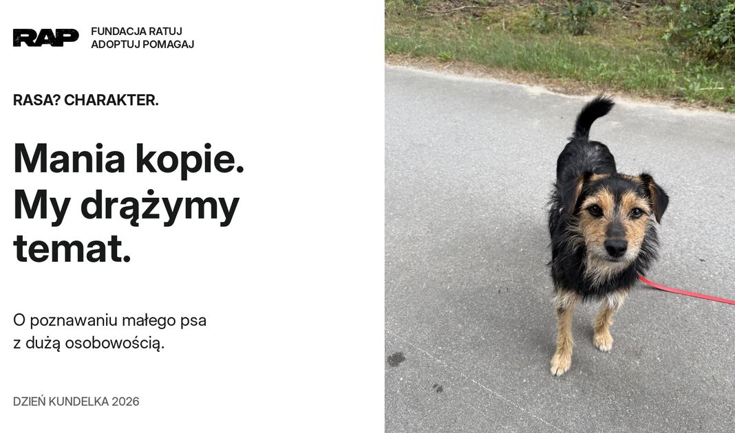 Obrazek posta