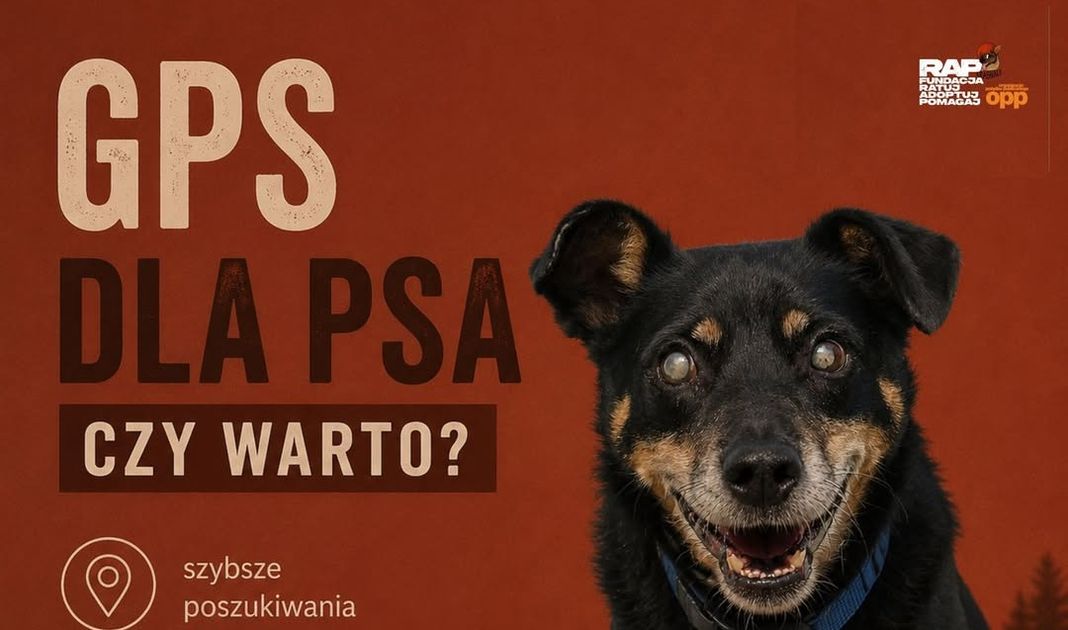 Obrazek posta