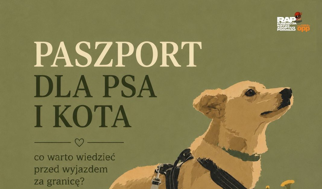 Obrazek posta