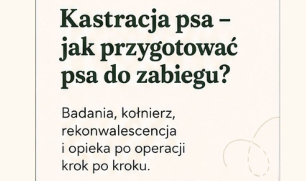 Obrazek posta