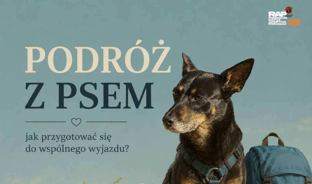 Obrazek posta
