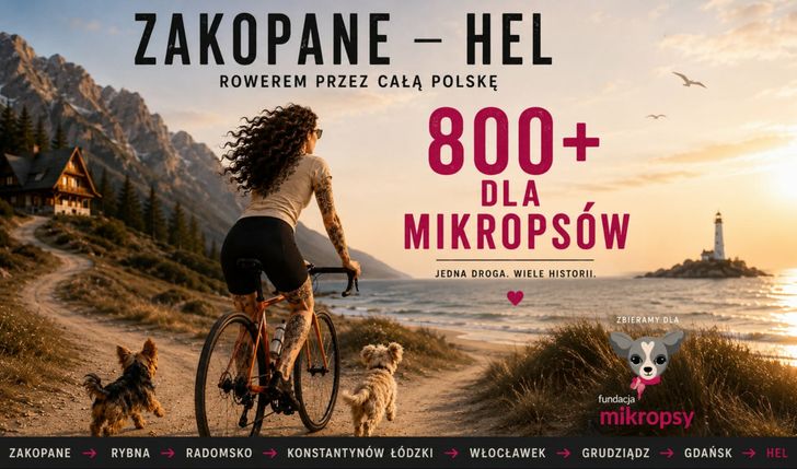800+ dla mikropsów