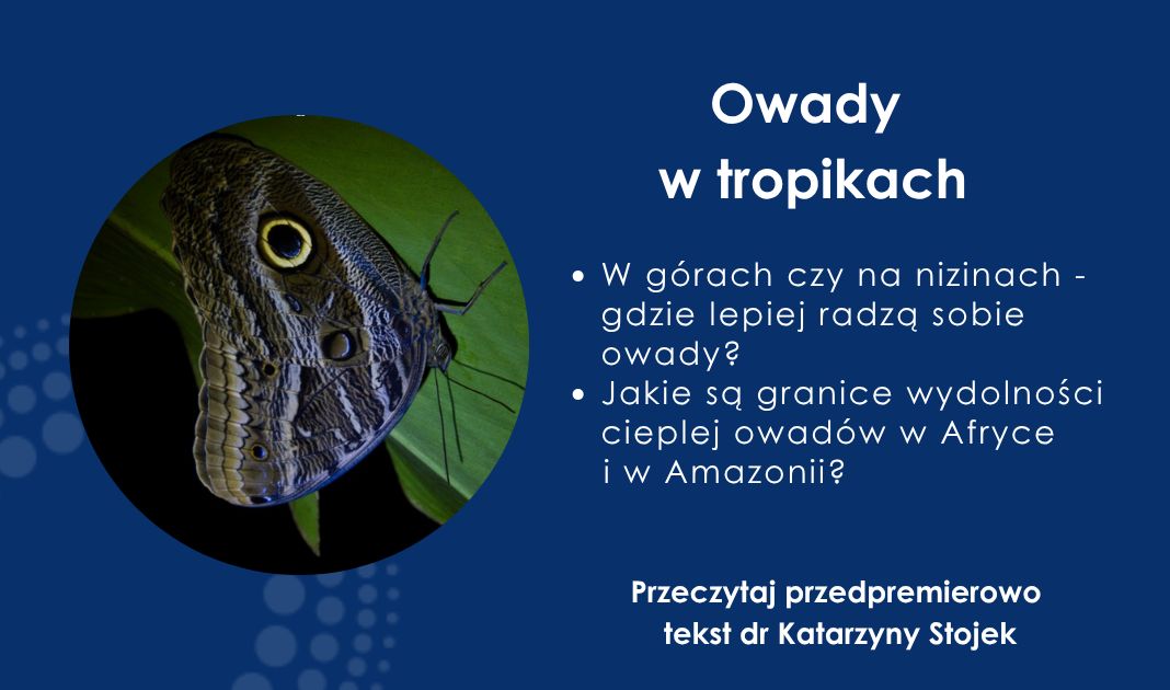 Obrazek posta