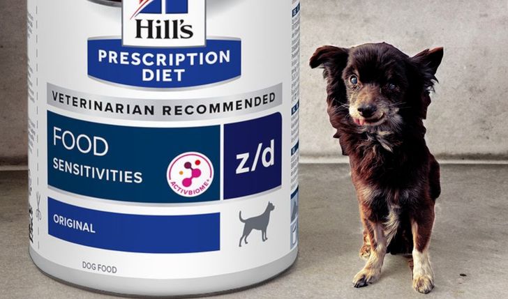 Żarełko dla Stuarta, Goliata, Klary, Stefana, Joschi'ego i Bartusia