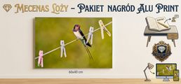 Obrazek progu