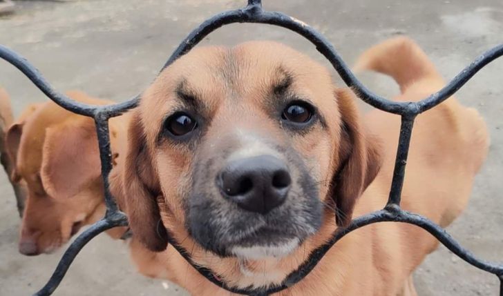 One same o pomoc nie poproszą