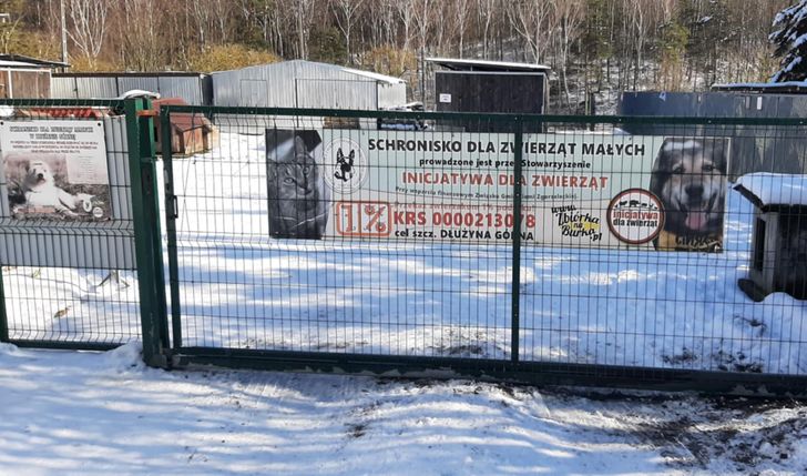 Zbiórka na wsparcie zwierząt mieszkających w Schronisku w Dłużynie Górnej