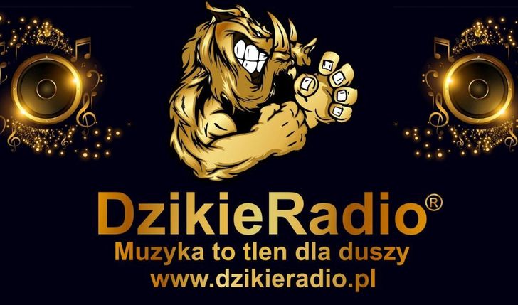 DzikieRadio® Na Działanie Radia Oraz Rozwój Radia Powiatowe z Żywca