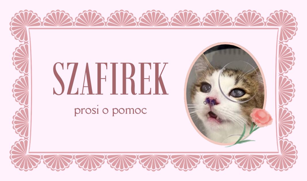 Obrazek posta