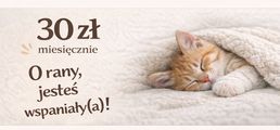 Obrazek progu
