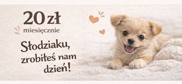 Obrazek progu