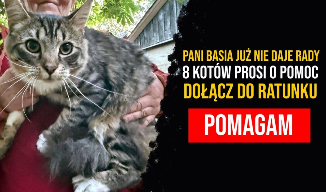Obrazek posta