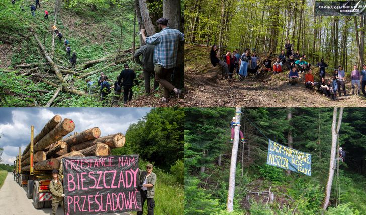Zbiórka na działalność Inicjatywy Dzikie Karpaty