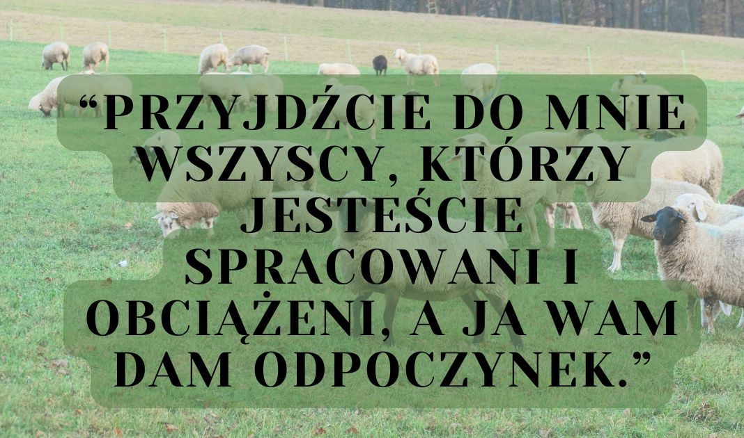 Obrazek posta