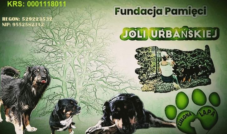 Świąteczna Paczka Pso-człowiecza