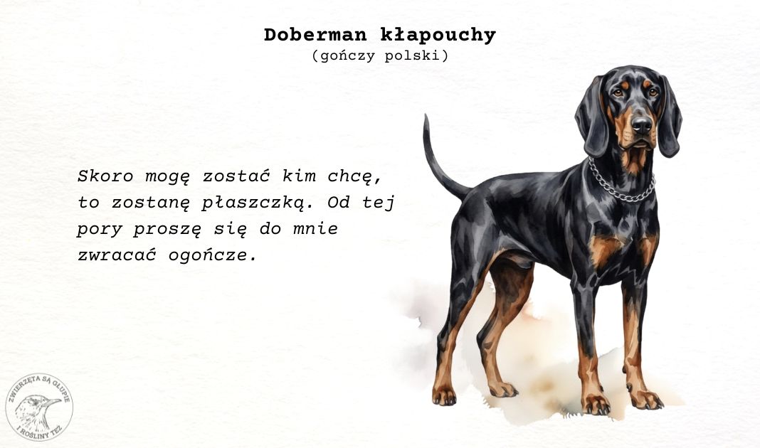 Obrazek posta